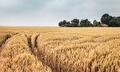 Medewerker beleidsuitvoering Bodem en Milieu